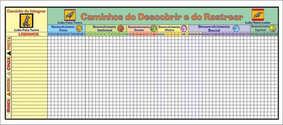 Caminhos da 1ª Fase Caminhos da 1ª Fase