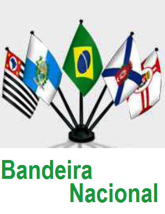 02 - Bandeira Nacional