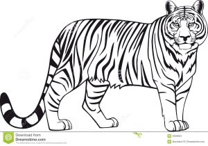 Shere Kahn
