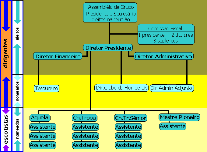 organograma do grupo